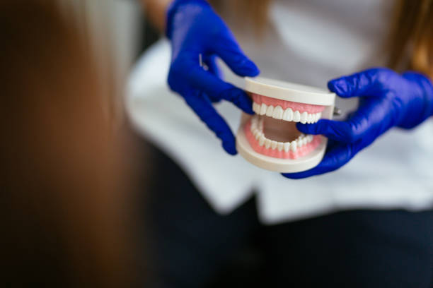 Reliable Gentry, AR  Holistic Dental Services Solutions